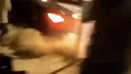 江苏苏州一男子炫车技失控撞上烧烤摊！二审宣判
