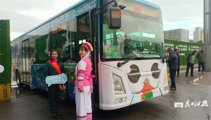 昆明观鸥专线服务游客18万人次
