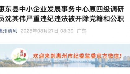 隐瞒入党前严重错误！惠州惠东县一原四级调研员被“双开”