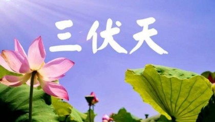 “伏天吃5白，湿毒全跑开”，三伏吃哪“5白”？怎么吃？建议了解！