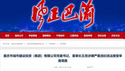 重庆市城市建设投资（集团）有限公司党委书记、董事长王岳被查
