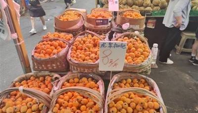 价格“腰斩” 成都枇杷大量上市