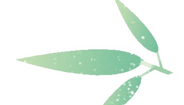 西安特价机票怎么买?在哪买?查询/购买入口和流程→