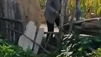 女子疑因拍亲姑姑偷玉米遭姑父棍杀，邻居欲报警也遇害