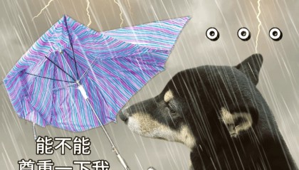 暴雨！大暴雨！深圳开启“集中倒水”模式，广东或有5波……