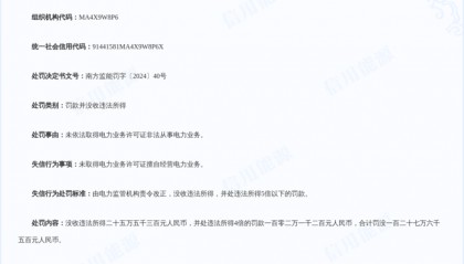 汕尾市新绿地能源科技有限公司被罚款并没收违法所得一百零二万一千二百元人民币