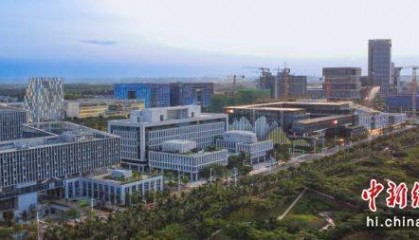 海口市常务副市长冯琳：海口将在自贸港建设等四方面当好“排头兵”