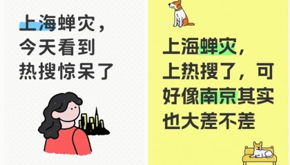 上海市民称被蝉鸣蝉尿困扰,专家:多品种遇上“大年”,蝉尿对人体本身无害