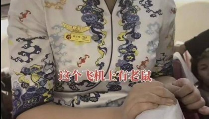 飞机上惊现老鼠？旅客讲述当时细节，长安航空：鉴定是小家鼠，已捕鼠、消杀处理