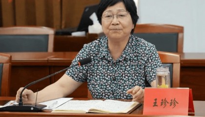 王珍珍，被查