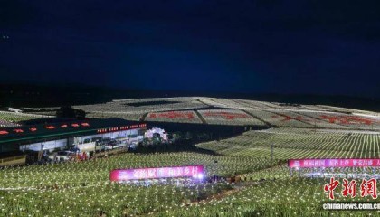 广西隆安万亩火龙果基地灯海璀璨 游客体验农文旅融合