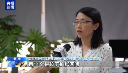 制造业PMI连续两月回升 上半年我国经济运行稳中向好
