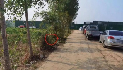 车主已去世,车却在案发现场徘徊……