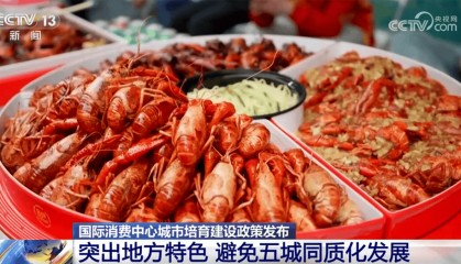 全方位扩内需稳外需“出大招” 打出国际消费中心城市培育建设“组合拳”