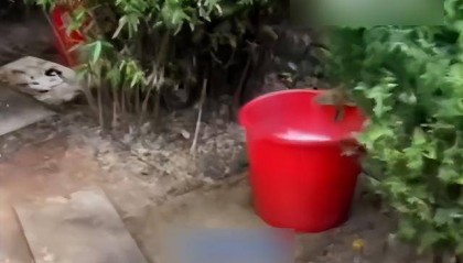 九江一公园摆3个尿桶供人露天小便，不到百米外就有公厕