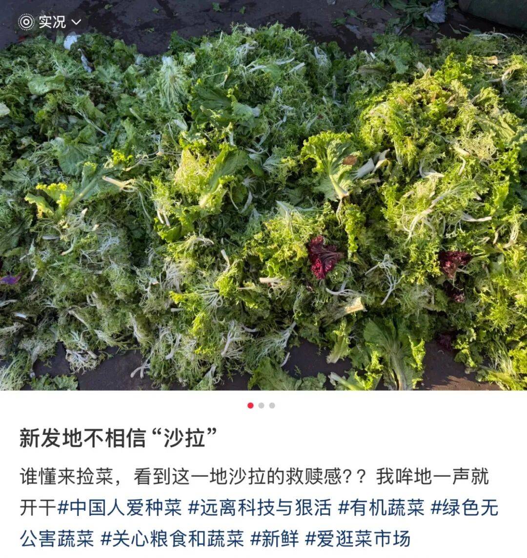 去新发地捡菜的北京中产，有多疯？？？