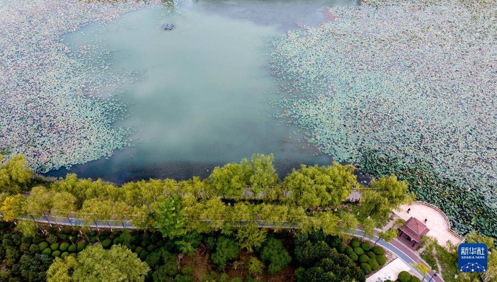 宁夏银川：城在湖中城愈美 湖在城中湖更秀