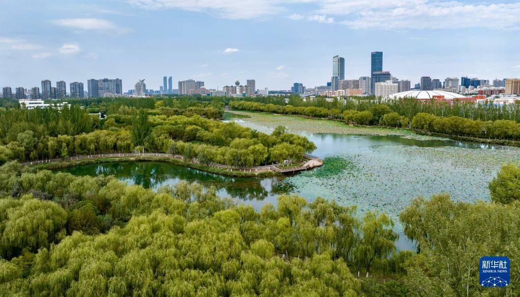 宁夏银川：城在湖中城愈美 湖在城中湖更秀