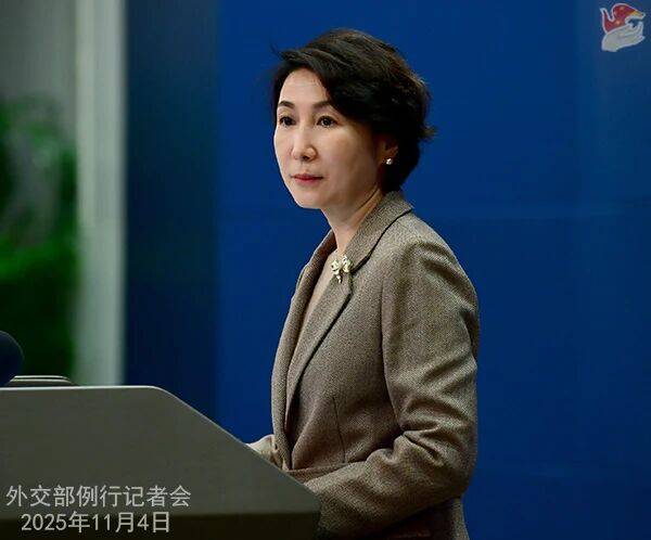 外交部：中方不得不投下弃权票