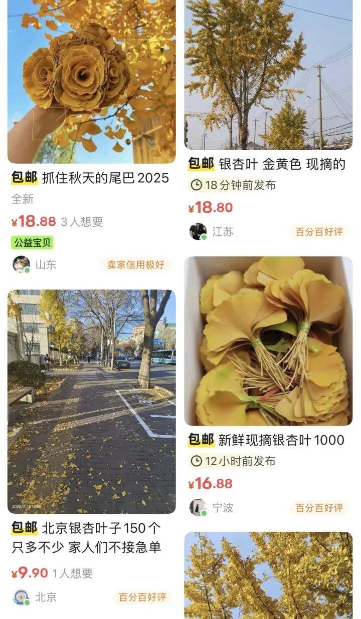 一单149元，成本几乎为0！河南遍地都是，有人靠它悄悄赚钱......