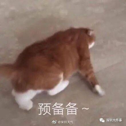 广东全省入秋了，冷空气最快今晚抵达广州