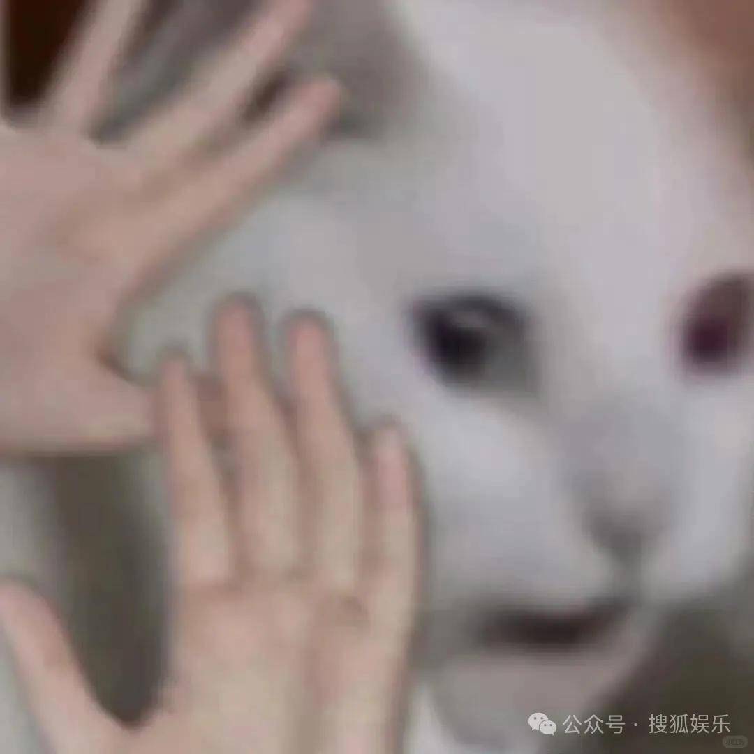 又一对魔幻的圈内姐弟恋曝光！这组合有点太超前了......