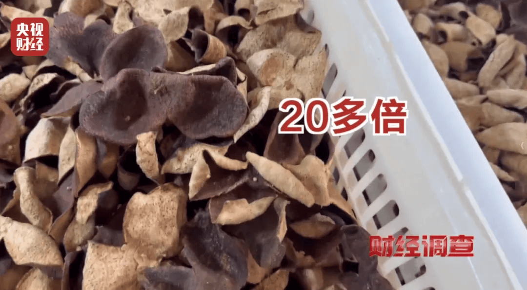 广西浦北凌晨通报——