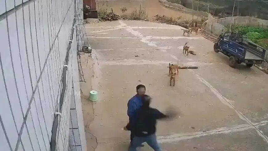 男子家门口吃橘子被邻居一拳打昏，警方通报：因养狗问题起冲突，均有受伤