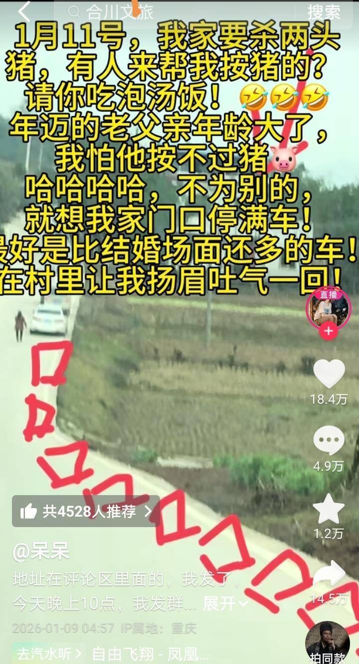 上千网友到合川帮女孩杀猪，车子从村头停到了村尾，主厨：这么多张嘴挂身上，压力太大了