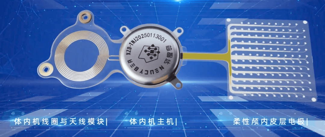 两院院士评选2025年中国十大科技进展新闻揭晓→