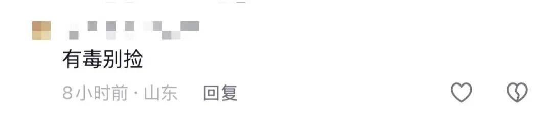 山东济南一广场突现“知了大军”密密麻麻，网友留言“你们咋不吃”