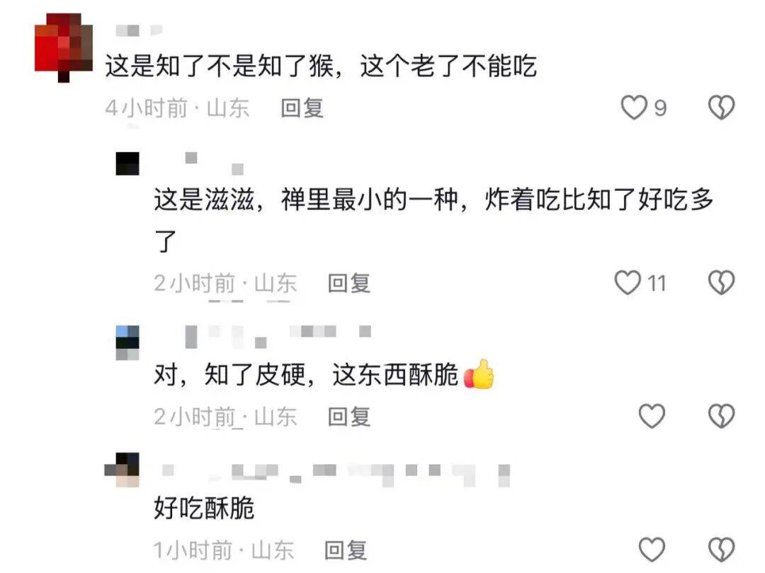 山东济南一广场突现“知了大军”密密麻麻，网友留言“你们咋不吃”