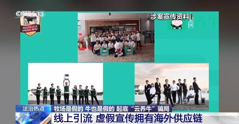 法治在线丨12万人被骗5.6亿 起底“云养牛”骗局