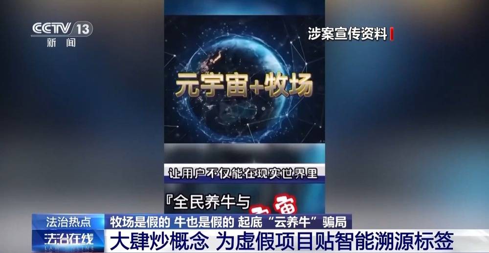 法治在线丨12万人被骗5.6亿 起底“云养牛”骗局