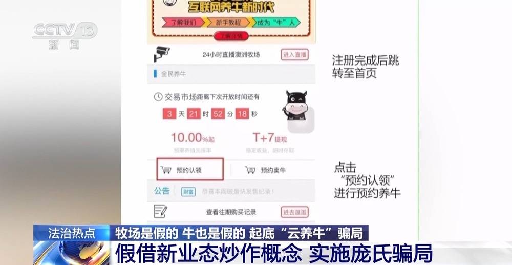 法治在线丨12万人被骗5.6亿 起底“云养牛”骗局