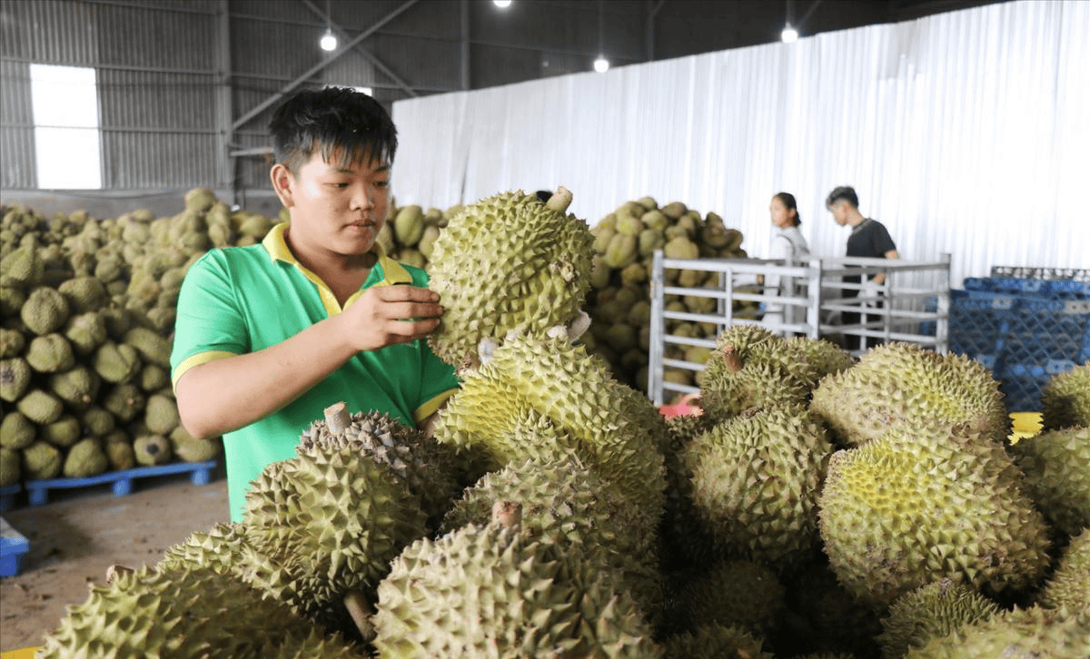 越南三号人物访华！越南上门提诉求，求中国两件大事，亡羊补牢为时未晚